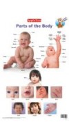 Parts of the Body
